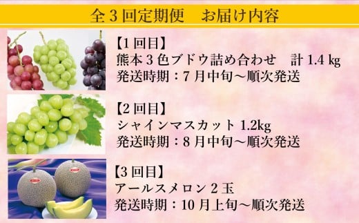 【年3回定期便】 熊本おすすめフルーツ定期便D（ぶどうセット・シャインマスカット・メロン） 【2026年7月上旬発送開始】 ぶどう ブドウ 巨峰 シャインマスカット マスカット メロン アースメロン フルーツ 果物 くだもの フルーツ 定期便 年3回 熊本県 熊本県産