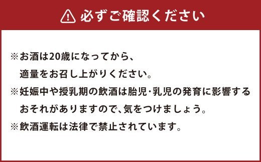 熊本の銘店がオススメする熊本県産酒こだわり球磨焼酎(米) 720ml 2本 25度 米焼酎