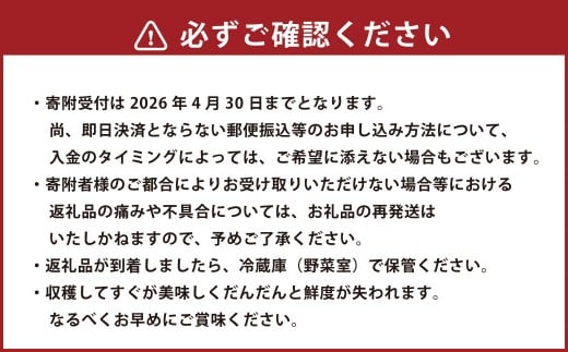 熊本県産食卓を彩る7種類以上の色鮮やかなカラフルミニトマト 4箱入り1ケース 計1.2kg 熊本県産 トマト プチトマト 【2025年11月上旬発送開始】