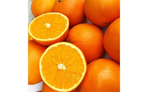 【2024年2月発送開始】熊本県産 ネーブルオレンジ 約5kg オレンジ 果物