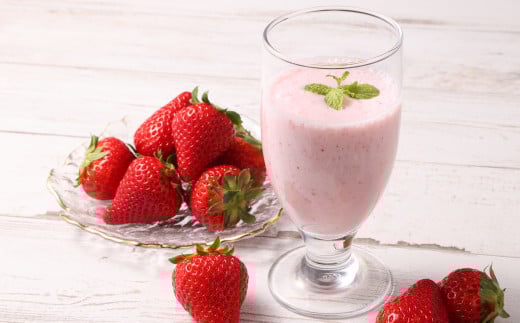 朝摘み当日発送！熊本県産いちご(ゆうべに) 約500g (250g×2パック） 【2026年1月上旬発送開始】