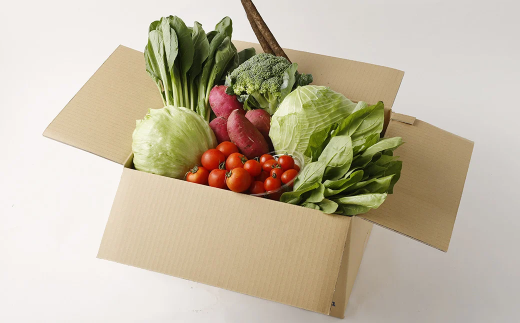 くまもと旬の野菜セット【2026年1月上旬発送開始】 キャベツ ブロッコリー トマト 芋 ほうれん草 小松菜 レタス ごぼう 野菜 サラダ 詰め合わせ セット 新鮮