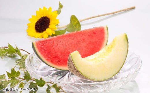 熊本県産 黒小玉スイカ 1玉 と マスクメロン 1玉 合計2玉【2025年6月上旬発送開始】 すいか スイカ 西瓜 フルーツ 果物 くだもの メロン 2種 セット 国産