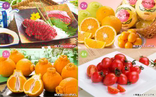 【12か月連続定期便】熊本便り！熊本の名品堪能定期便 ｜ 馬刺し 馬肉 フルーツ 果物 くだもの デコポン みかん メロン 柿 梨 すいか そうめん あか牛 米 お米 特産品 お取り寄せ