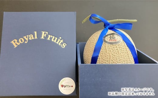 『まるで果物の王様！贅沢メロン』 2玉セット 1箱 熊本県産 【2026年1月下旬発送開始】フルーツ くだもの 果物 メロン 果実 果肉 おやつ 国産