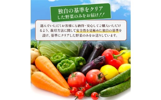 熊本県 10品目 野菜 セット フレッシュ 新鮮 野菜 青果 サラダ おまかせ お任せ 厳選 お楽しみ ランダム 冷蔵