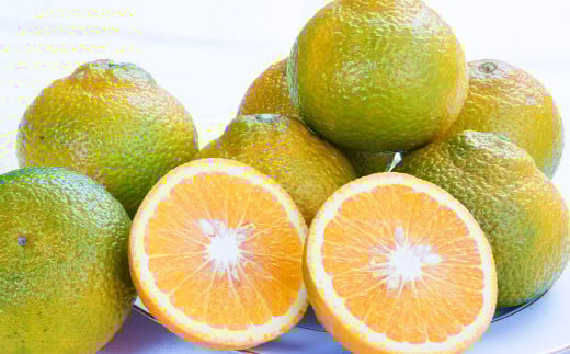 熊本県産 スイートスプリング 約4kg