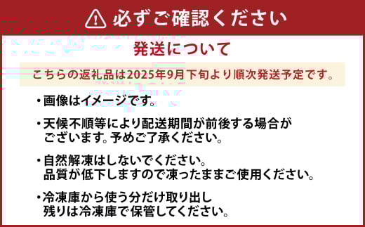 熊本県産 むき栗 約500g【2025年9月下旬発送開始】 クリ くり 栗 フルーツ くだもの 果物 国産