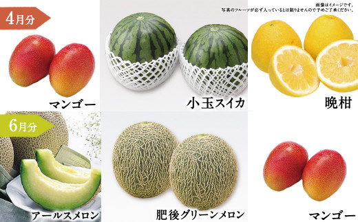 【年6回定期便】くまもと 旬のフルーツ極み 定期便 ① ｜ フルーツ くだもの 果物 旬 旬の果物 熊本県産