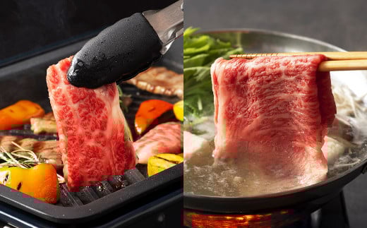 「フジチク」オリジナルふじ馬刺しと藤彩牛に球磨焼酎の熊本特産マリアージュ8種セット 馬 馬肉 焼酎 馬刺 九州 熊本