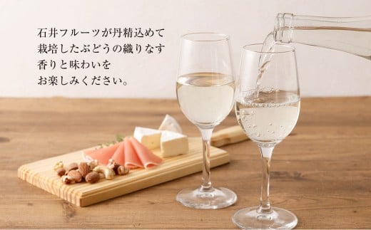 熊本宇城で育ったシャインマスカットを使った 「シャインマスカットワイン」 750ml×1本 ワイン 白ワイン シャインマスカット マスカット 辛口ワイン 辛口 シャルドネ 国産ワイン 九州 熊本県 常温