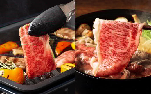 「フジチク」オリジナルふじ馬刺しと藤彩牛に球磨焼酎の熊本特産マリアージュ10種セット 馬 馬肉 焼酎 馬刺 九州 熊本