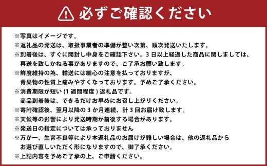 【 3か月 連続 定期便 】 熊本県 フルーツ 3ヶ月 定期便 果物 くだもの 旬 いちご 柑橘 スイカ メロン 柿 梨