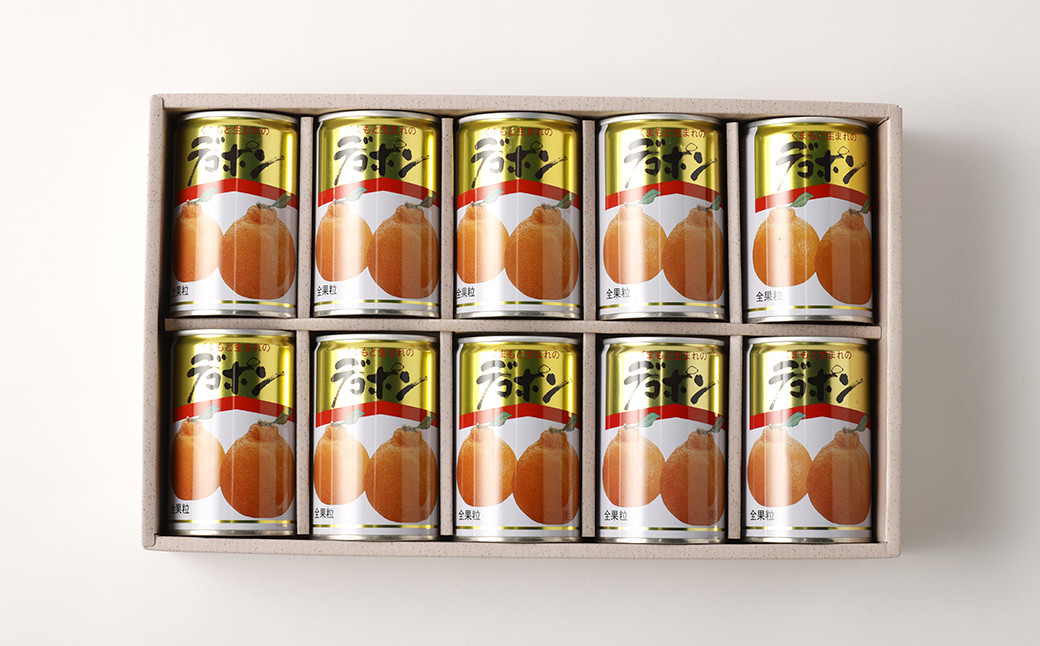 くまもとの果樹園【デコポン缶詰セット】300g×10缶 缶詰 かんづめ デコポン みかん 柑橘 フルーツ