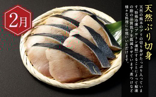 【年4回定期便】くまもとの海の幸 定期便 ／ 4回 ぶり 鯛 太刀魚 くるまえび 魚 海老 海の幸 海産物 海鮮 切身 スライス 料理 グルメ 旬 熊本県 冷凍