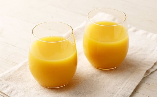 【6か月連続定期便】オレンジ100 200ml×12本×6回 合計72本 合計14.4L 厳選 みかん 果汁 100% 濃縮還元 ミカン オレンジ ジュース みかんジュース 常温 飲料 熊本県 らくのうマザーズ