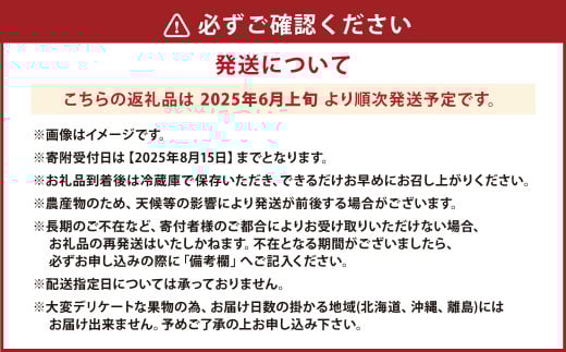 ハウスイチジク 約1kg （約250g×4パック）【2025年6月上旬発送開始】 果物 フルーツ いちじく イチジク 旬 旬の果物 旬のフルーツ 熊本県 合同会社宝ファーム