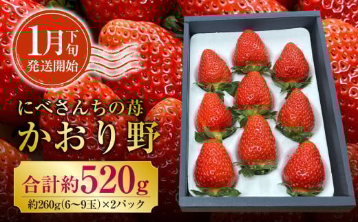 【3か月連続定期便】にべさんちの苺 熊本県産イチゴ食べ比べ定期便 (かおり野・桃薫・空音) 【2026年1月下旬発送開始】