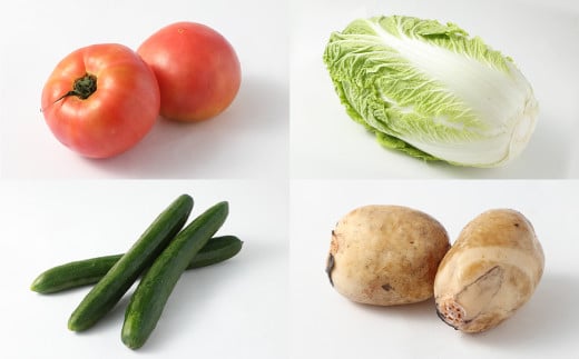 熊本県産 野菜 の 詰め合わせ 8品以上 やさい 季節の野菜 詰合せ 国産