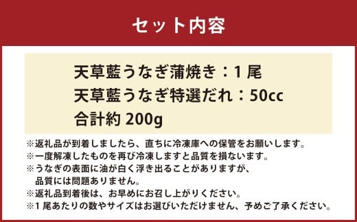 海水育ちの天草藍うなぎ 蒲焼き1尾セット【合計約200g】鰻 ウナギ うなぎ うなぎ蒲焼 鰻の蒲焼 うなぎ 国産