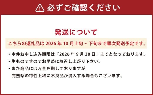 特産荒尾ジャンボ梨2個 約2kg 【2026年10月上旬発送開始】 果物 フルーツ なし 梨 くだもの