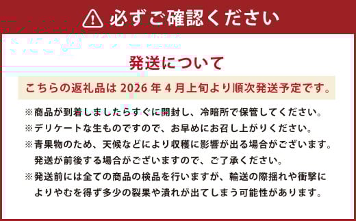 長期熟成 蔵熟 デコポン 約2.5kg 【2026年4月上旬発送開始】 蜜柑 みかん ミカン 柑橘 かんきつ くだもの 果物 フルーツ 国産