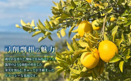 ～幻の柑橘～ 弓削瓢柑（ゆげひょうかん） 約5kg 【2025年4月下旬発送予定】 果物 柑橘 フルーツ 果実 九州 熊本