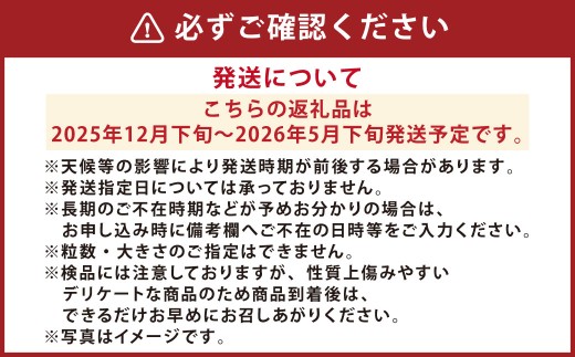 まるでフルーツのような特選ミニトマト1kg（熊本県産） 【2025年12月下旬発送開始】 野菜 やさい トマト とまと ミニトマト 甘い 濃厚 国産 常温
