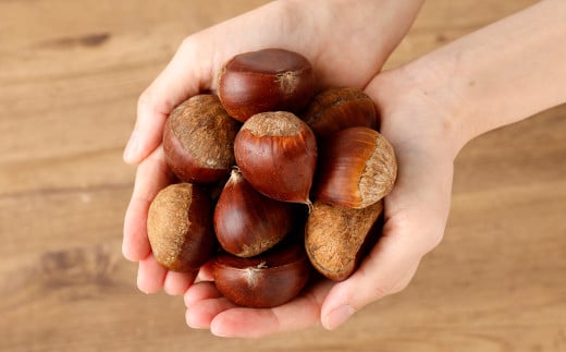 熊本県産 和栗 3kg 【2025年9月上旬発送開始】クリ くり 栗 フルーツ くだもの 果物 国産