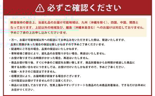 熊本県産みはや 約5キロ 果物 柑橘類