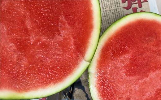 熊本県産 ブラックジャック （高級西瓜） 約5kg 1玉 スイカ すいか 西瓜 フルーツ 果物 くだもの 熊本 国産 【2026年5月下旬発送開始】