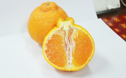 【2024年2月発送開始】熊本県産 不知火柑 約4.5kg しらぬい 果物 柑橘類