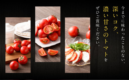 蘇鉄嶋 （ 桃太郎トマト ） 約1kg とまと トマト やさい 野菜 国産 【2026年5月上旬発送開始】