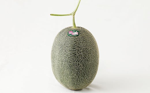 熊本県産 肥後グリーンメロン 2玉入り 果物 メロン 【2025年5月下旬発送開始】