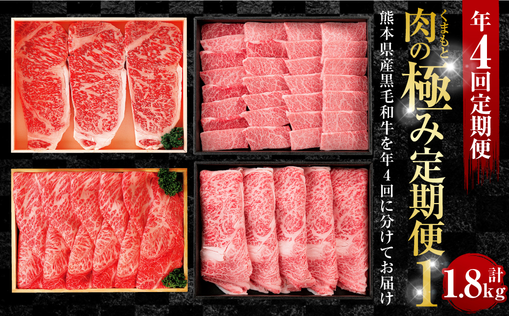【年4回定期便】くまもと肉の極み定期便① 黒毛和牛 和牛 定期便 熊本県産 肉 お肉 牛肉 牛 国産