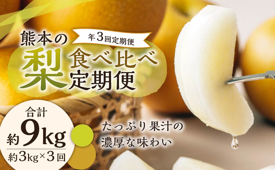 【年3回定期便】【2024年7月下旬発送開始】 くまもとの 梨 食べ比べ 定期便 約3kg×3回 合計約9kgナシ フルーツ くだもの 果物