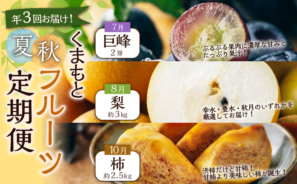 【年3回定期便】【2024年7月上旬発送開始】 くまもと 夏秋 フルーツ 定期便 ( 巨峰 ・ 梨 ・ 柿 )  ナシ かき 葡萄 ぶどう くだもの 果物