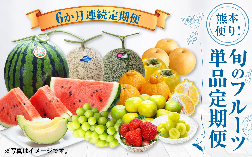 【6か月連続定期便】熊本便り！旬のフルーツ単品定期便 ｜ くだもの 果物 フルーツ 旬 いちご 柑橘 みかん デコポン メロン すいか 桃 シャインマスカット 梨 柿 熊本県