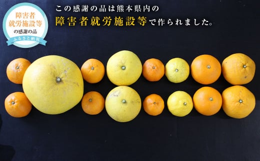 わくわくするおれんじセット 5～6種類のみかんセット 約6kg 柑橘 みかん 蜜柑 【2025年1月下旬発送開始】