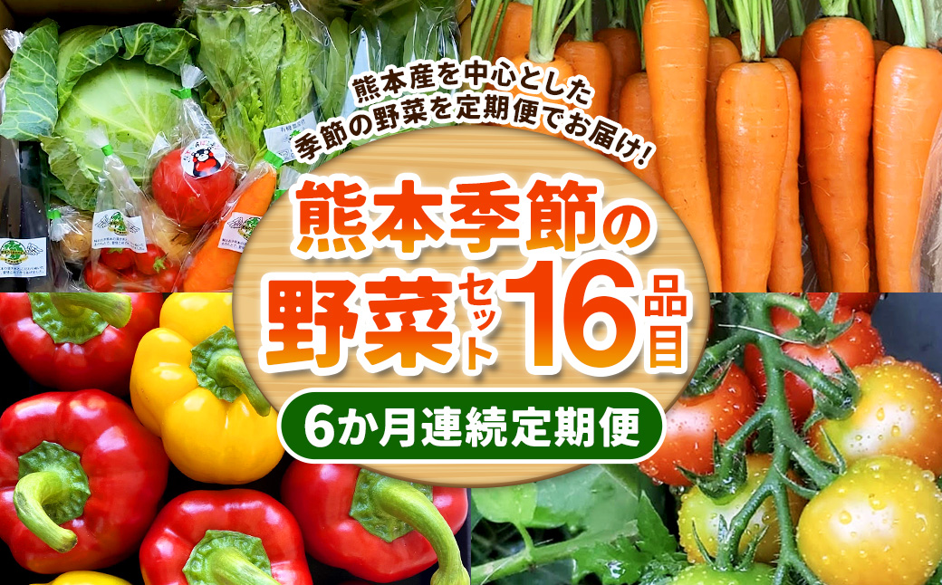 【6か月連続定期便】熊本季節の野菜セット 16品目