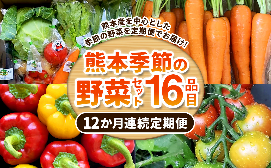 【12か月連続定期便】熊本季節の野菜セット 16品目 ｜ やさい 野菜 季節 旬 新鮮 定期便 熊本県 国産