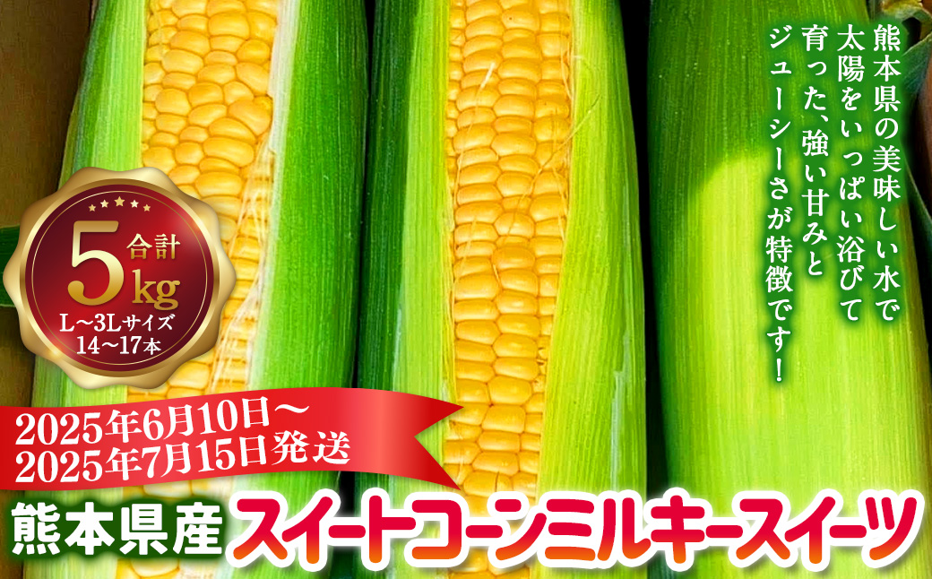 熊本県産 スイートコーン ミルキースイーツ 約5kg とうもろこし やさい 野菜 トウモロコシ 【2025年6月上旬発送開始】