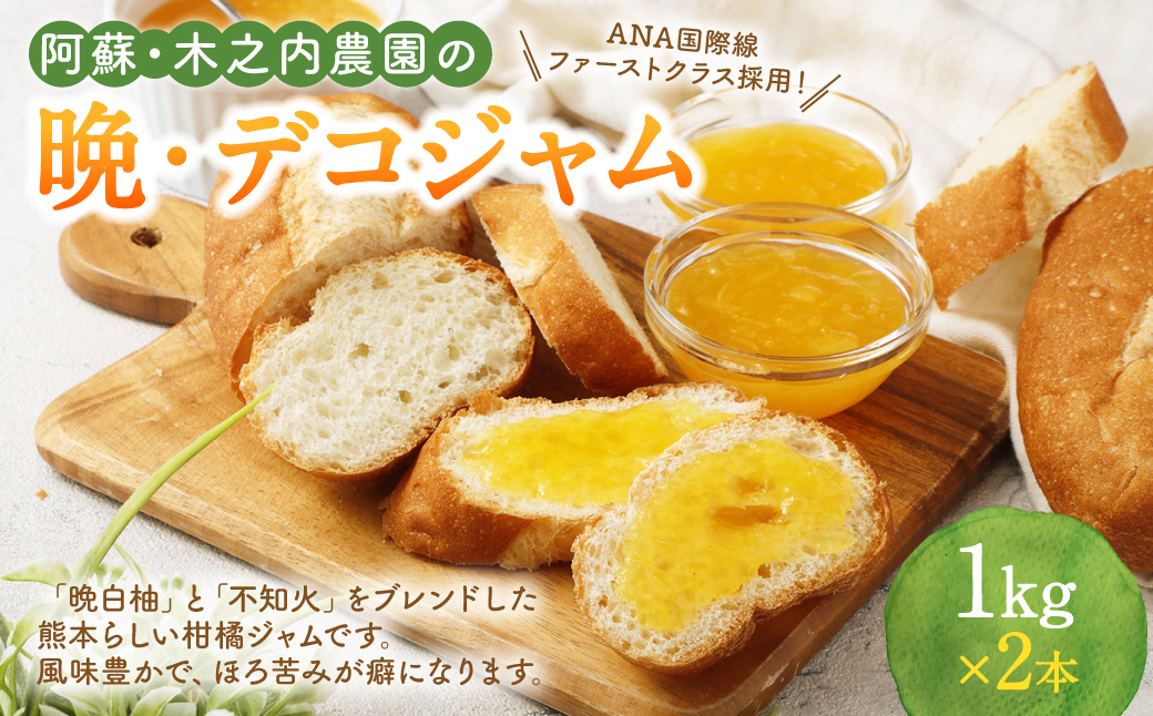 阿蘇 木之内農園 の 晩・デコジャム 1kg × 2本入 合計2kg