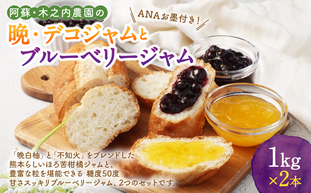 阿蘇 木之内農園の 晩・デコジャム と ブルーベリージャム セット 各1kg 合計2kg