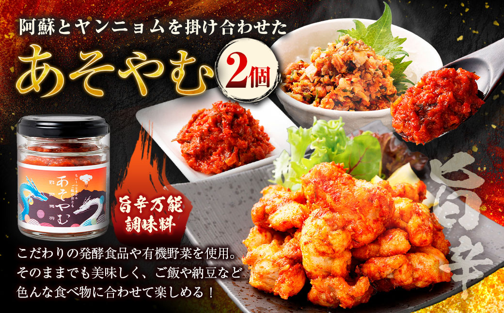 発酵料理人が考えた発酵万能調味料！阿蘇（あそ）とヤンニョム（薬念）を掛け合わせて生まれた「あそやむ」 100g×2個 計200g ／ ヤンニョム 調味料 発酵調味料 発酵 万能調味料 万能 ヴィーガン ご飯のお供 グルメ 惣菜 旨辛 九州 熊本県 冷蔵