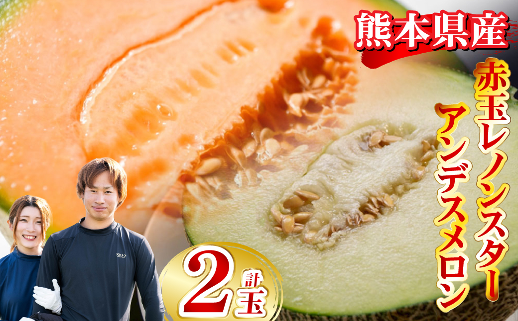 赤玉レノンスター 1玉・アンデスメロン1玉【2026年5月下旬発送開始】 メロン フルーツ くだもの 果物 熊本県産 国産