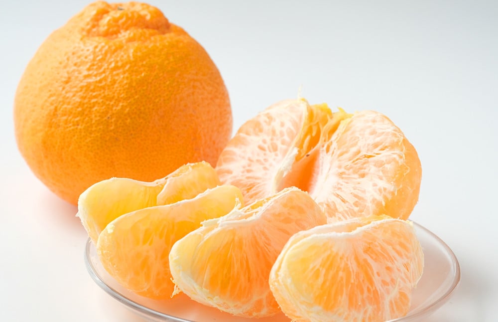 【年6回定期便】熊本県産フルーツA(奇数月発送)	