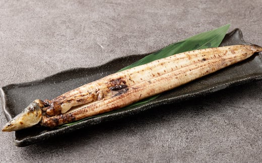 熊本県産天然ウナギ素焼き（肝付） 約260g 天然 鰻 うなぎ ウナギ 蒲焼 うな重 ひつまぶし おつまみ 冷凍 熊本県産