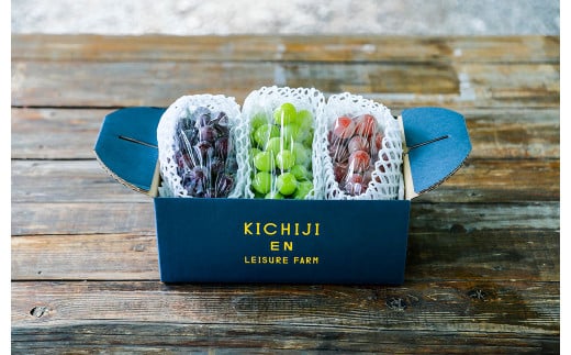 大粒種なしぶどう3色セット 3種 合計 約1.4kg (3房) ブドウ 葡萄 果物 くだもの フルーツ 【2026年9月上旬発送開始】