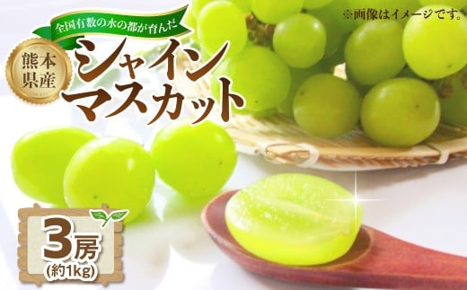 熊本県産シャインマスカット約1kg（3房）【2026年8月下旬発送開始】 熊本県産 国産 シャインマスカット シャイン マスカット ぶどう 葡萄 ブドウ おやつ 果物 果実 フルーツ 1kg 3房